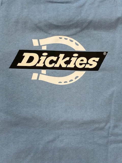 Dickies T-shirt manica corta da uomo Ruston DK0A4DC C36 celeste chiaro